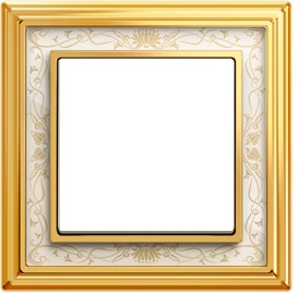 frame 1