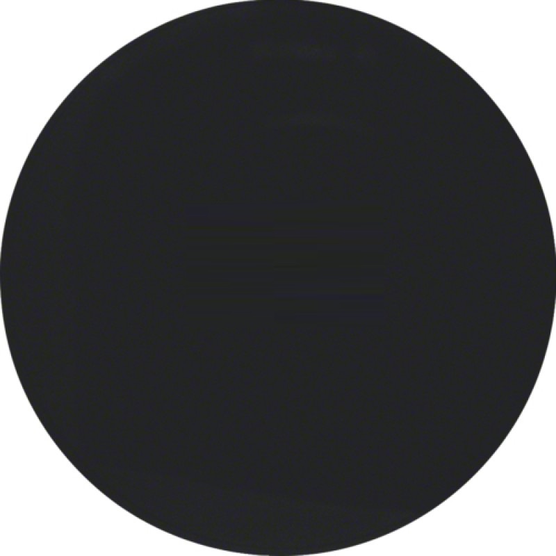 berker 16202045 800x800